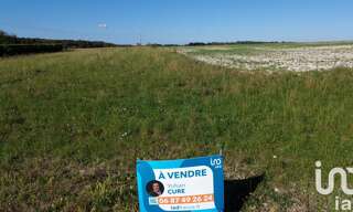 Terrain  1000 m² à vendre à Bacouël (60120)