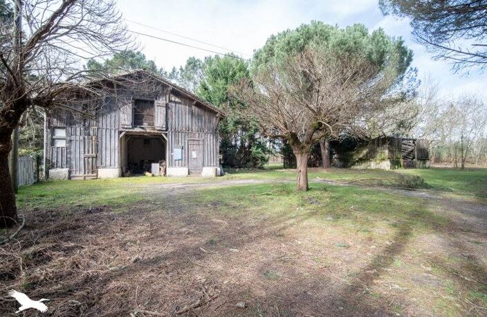 Vente maison 6 pièces 160 m² Linxe (40260) — photo 2