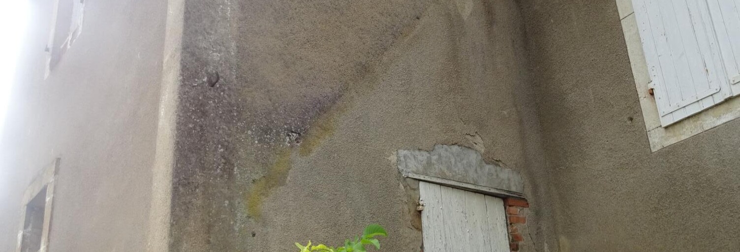 Maison 8 Pièces 250 m² à vendre à Saint-Léger-sur-Dheune (71510)