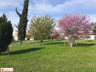 Terrain constructible de prestige proche Cluny! — photo 3