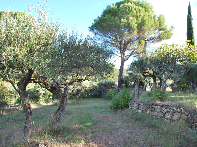 SUPERBE TERRAIN SALERNES — photo du bien