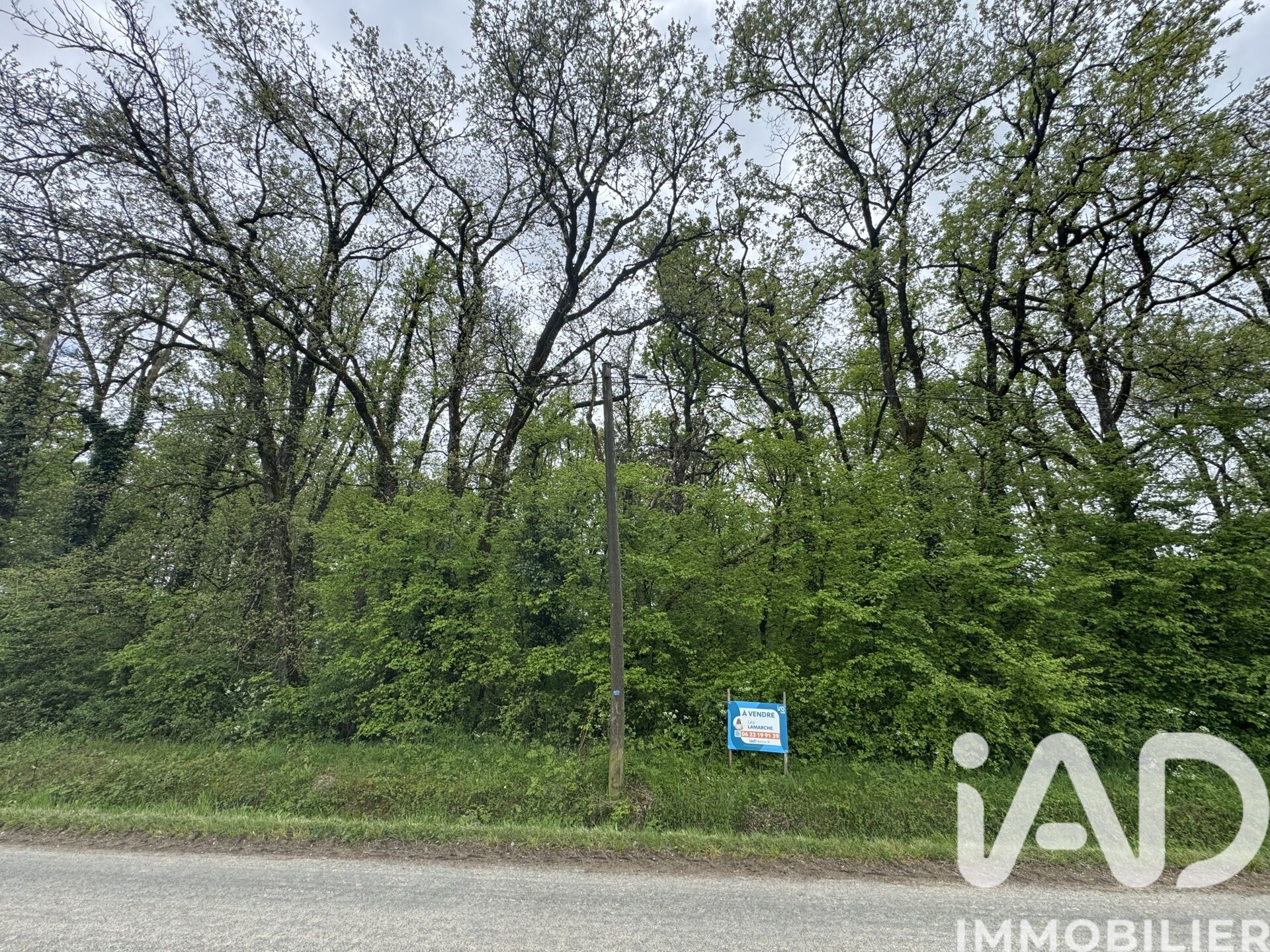 Vendeuvre-Du-Poitou - 3362m²