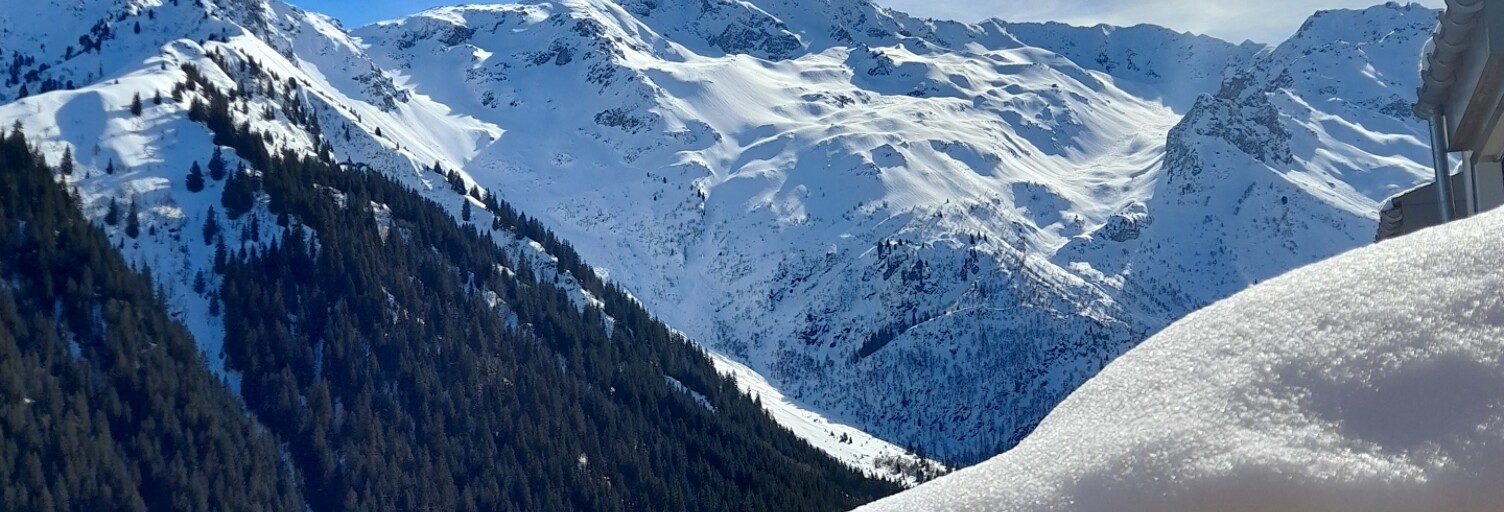 Appartement 1 Pièce 14 m² à vendre à Le Haut-Bréda (38580)