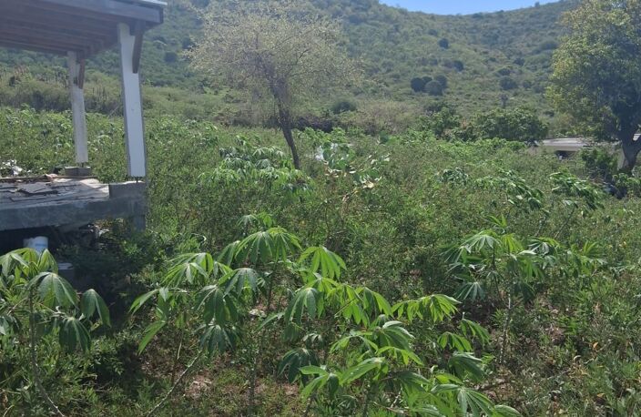 Vente Terrain à bâtir 2 150 m&sup2; — photo 2