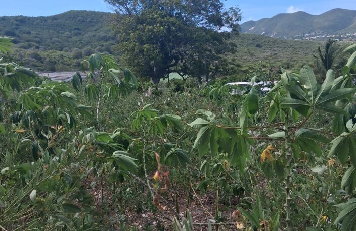 Vente Terrain à bâtir 2 150 m&sup2; — photo 3