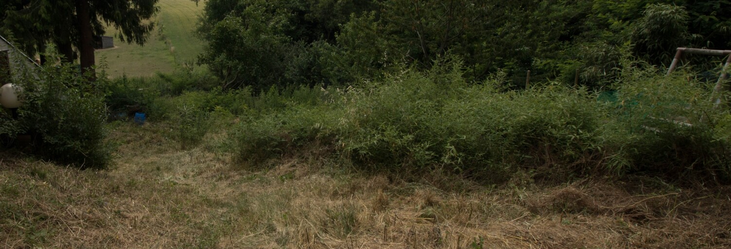 Terrain  677 m² à vendre à Saulx-les-Chartreux (91160)