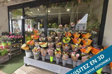 Commerce  231000 €