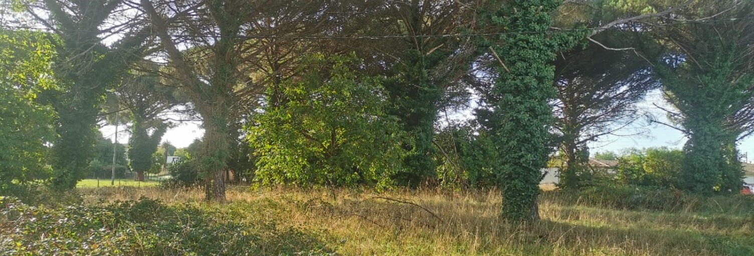 Terrain  1030 m² à vendre à Saint-Maixant (33490)