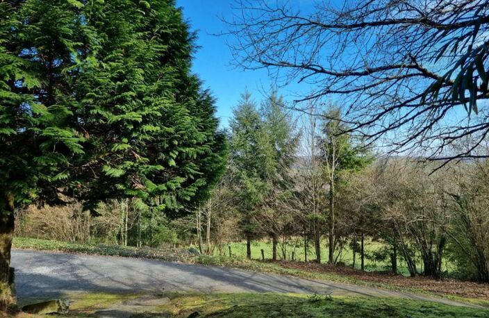 Albussac- Beynat -Grande maison sur 3000 m2 terrain — photo 5