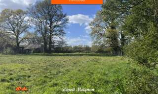 Terrain  1537 m² à vendre à Plessé (44630)