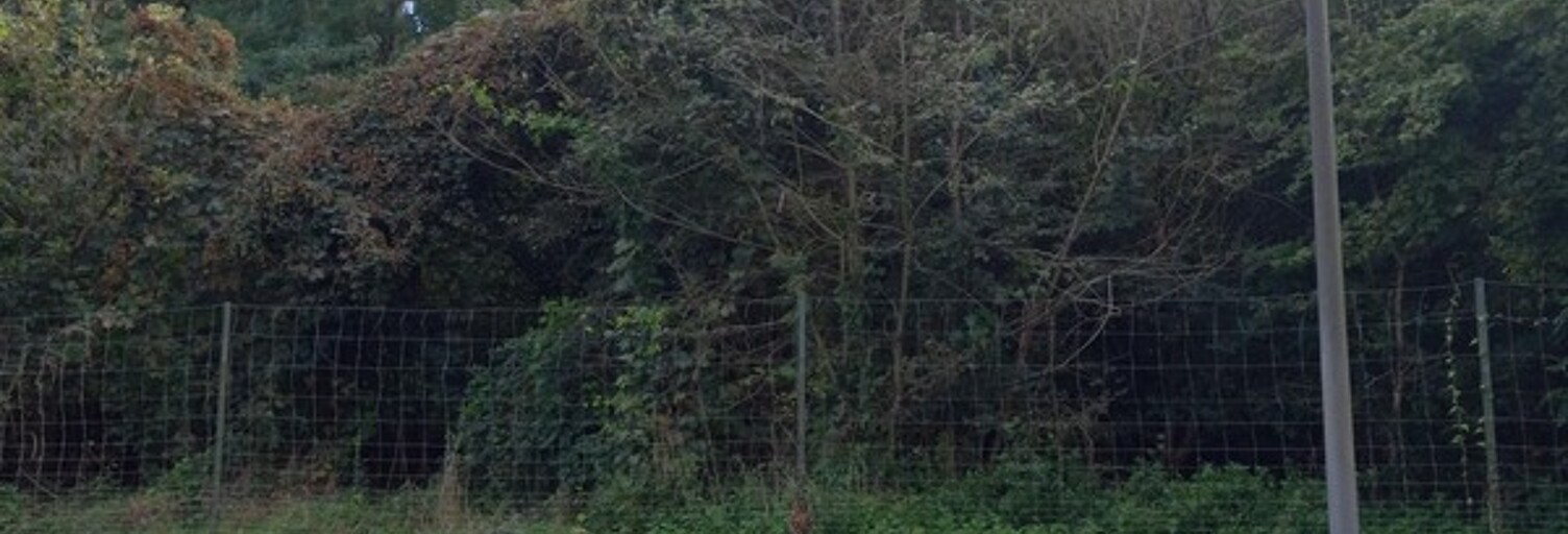 Maison  867 m² à vendre à Nemours (77140)