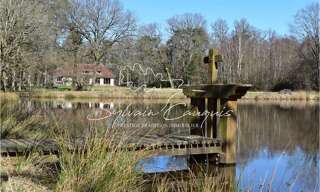 Maison 12 Pièces 280 m² à vendre à Lamotte-Beuvron (41600)