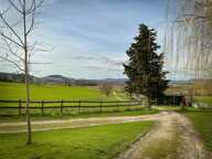 Domaine équestre d’exception sur 40 hectares — Authenticité, nature et passion proche de Penne d’Agenais (47) — photo 3