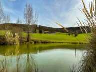 Domaine équestre d’exception sur 40 hectares — Authenticité, nature et passion proche de Penne d’Agenais (47) — photo 4