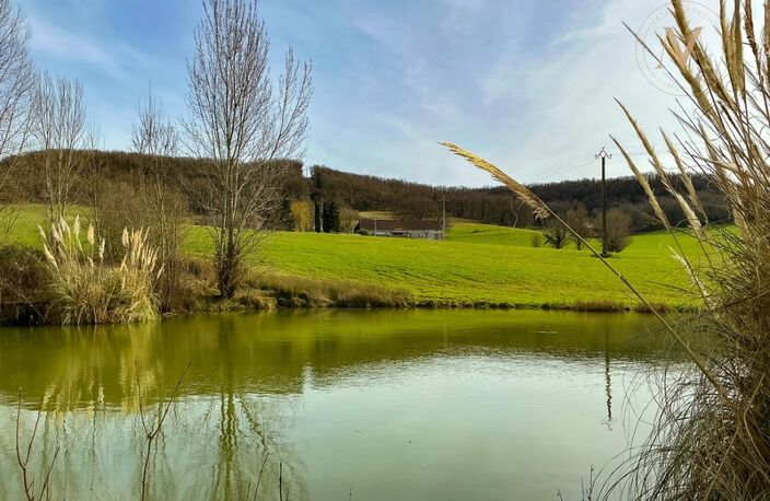 Domaine équestre d’exception sur 40 hectares — Authenticité, nature et passion proche de Penne d’Agenais (47) — photo 4