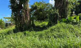 Terrain  1075 m² à vendre à La Trinité (97220)