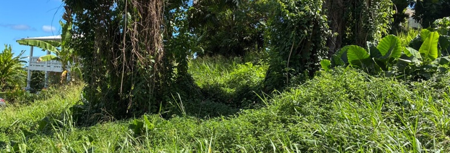 Terrain  1075 m² à vendre à La Trinité (97220)