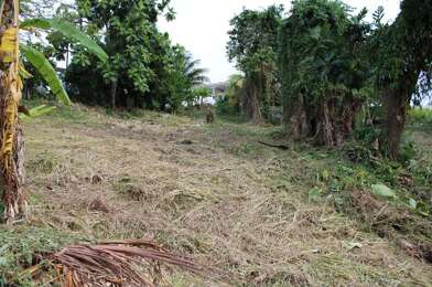 Terrain  120000 €
