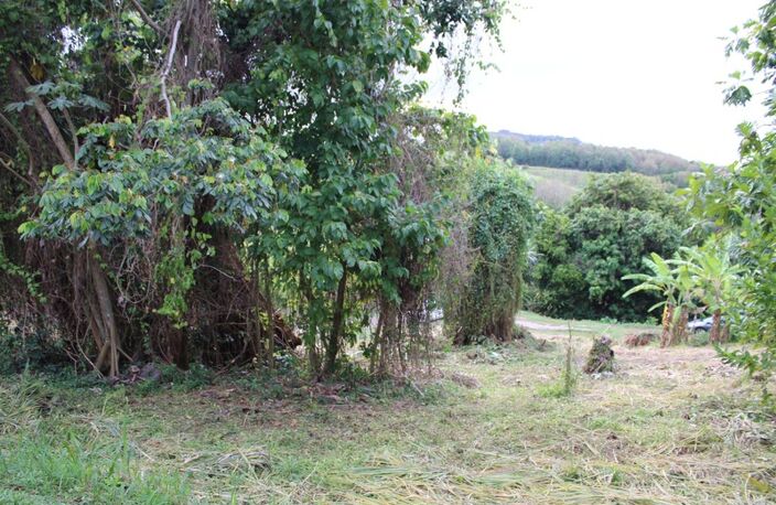 Terrain à vendre  LA TRINITE (972) — photo 4
