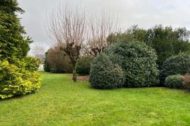 Terrain  97200 €