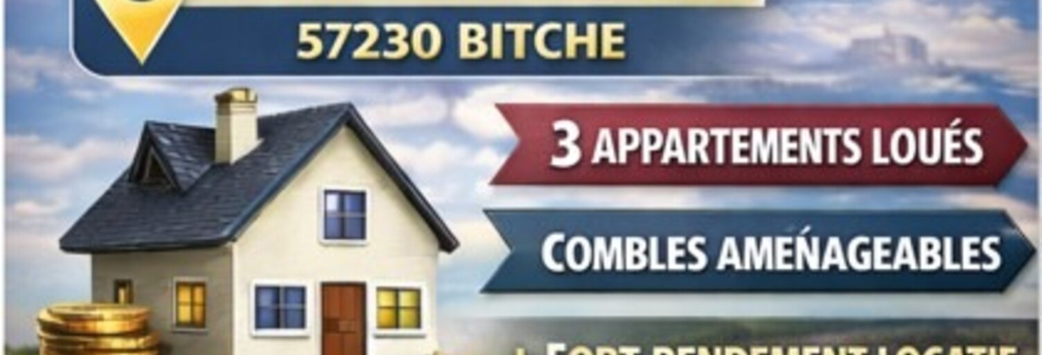 Immeuble  134 m² à vendre à Bitche (57230)