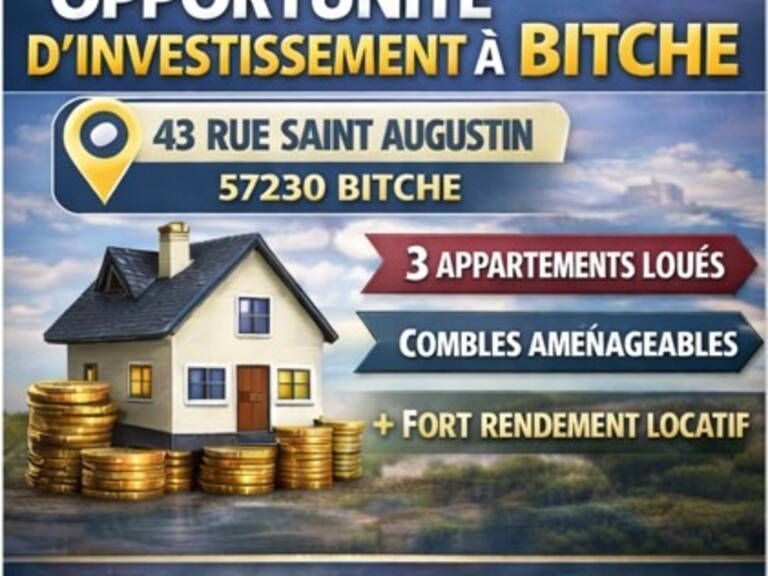 Immeuble à vendre BITCHE (57) — photo 1