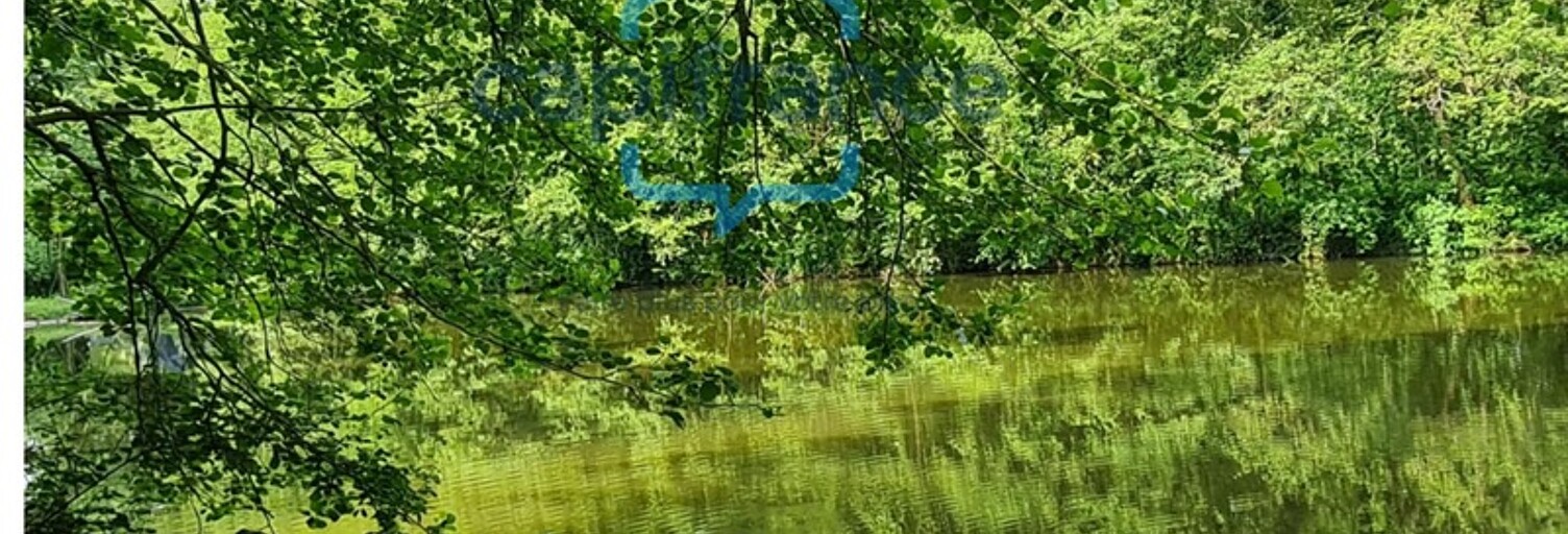 Commerce  34403 m² à vendre à Craon (53400)