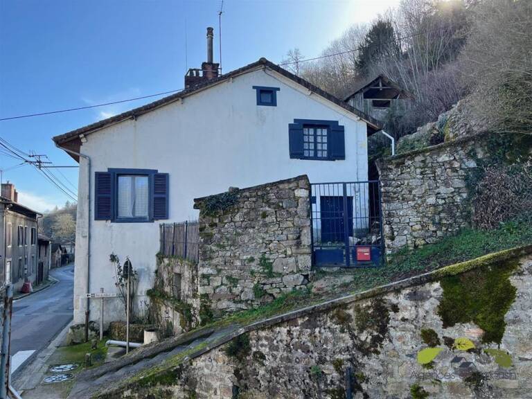 HAUTE VIENNE — photo 1