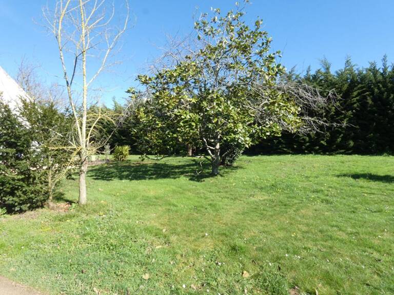 BELLE OPPORTUNITE FONCIERE ! Terrain constructible de près de 3 000m2 — photo 1