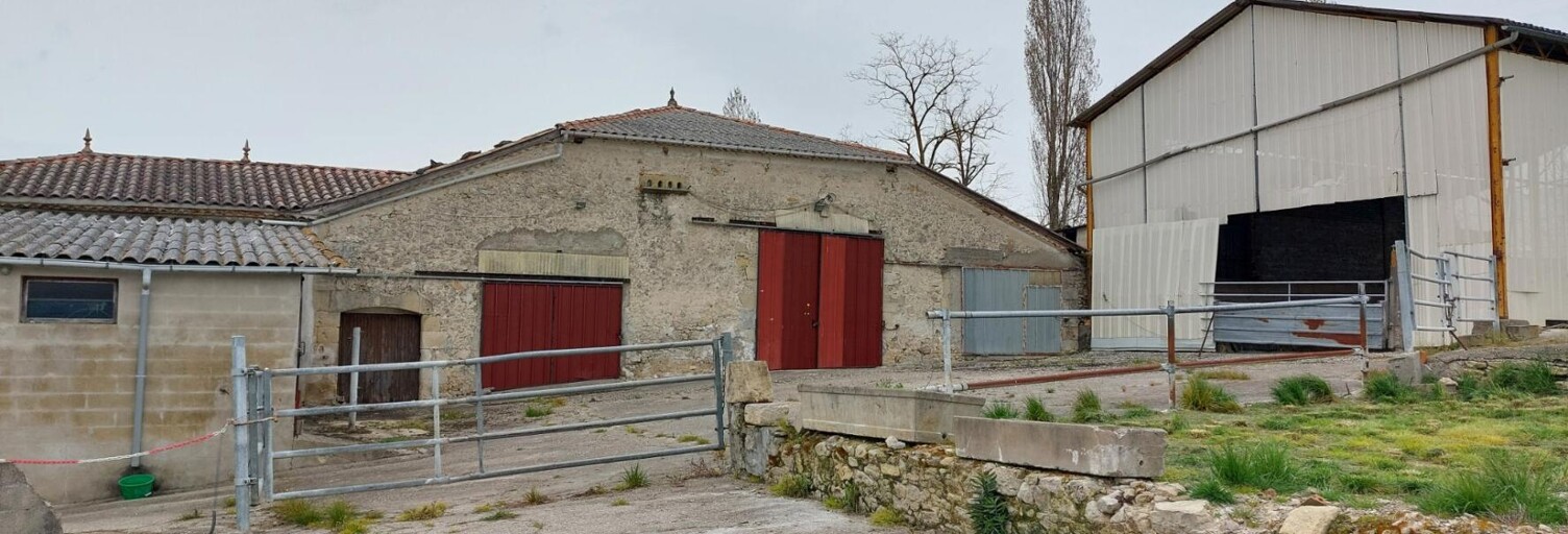 Maison 1 Pièce 300 m² à vendre à Saint-Vivien-de-Monségur (33580)