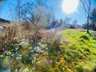 Maison / Immeuble  individuel 252 m2- 3 logements- Saint Amour — photo 4