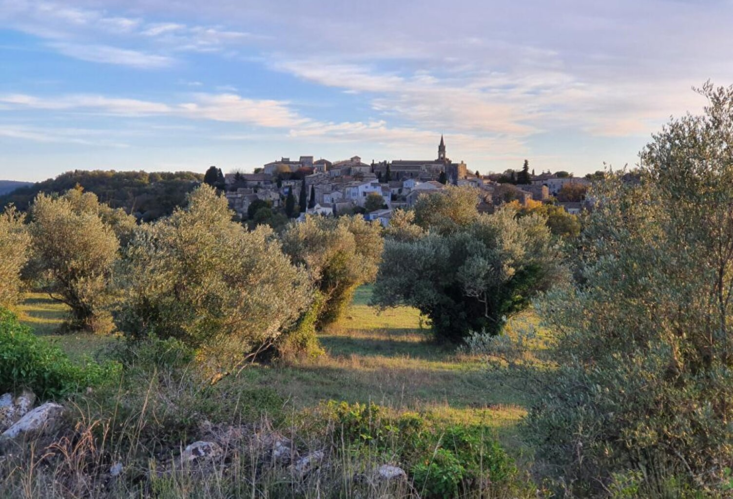 Uzes, 7km Terrain 1000 m2 — photo 1