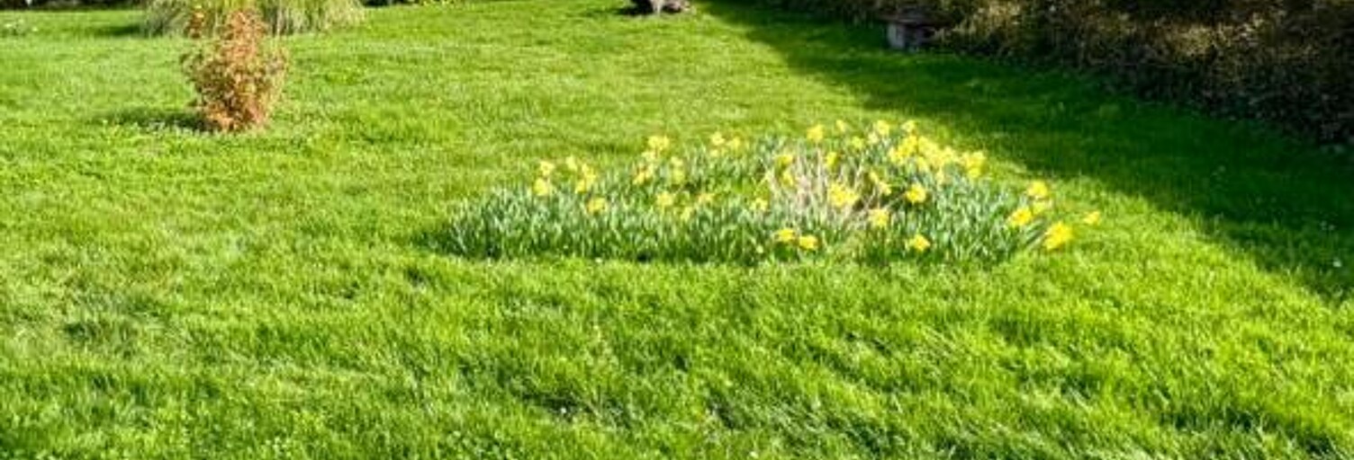 Terrain  581 m² à vendre à Saint-Seurin-de-Palenne (17800)