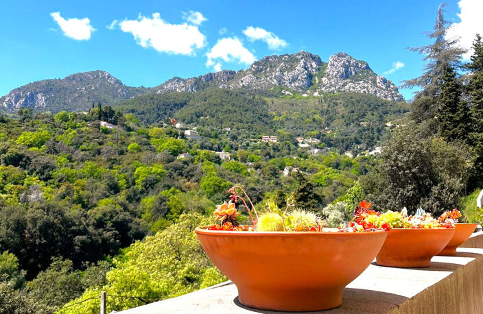 PETIT COIN DE PARADIS à MENTON — photo 5
