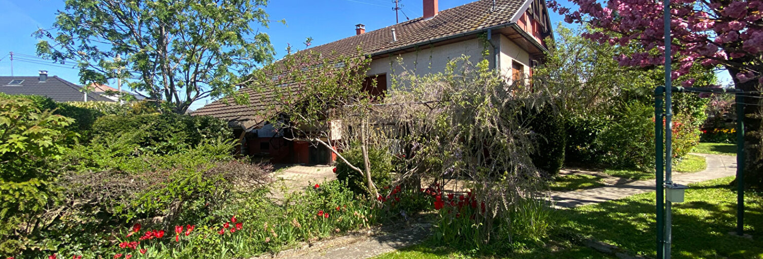 Photo N° 2