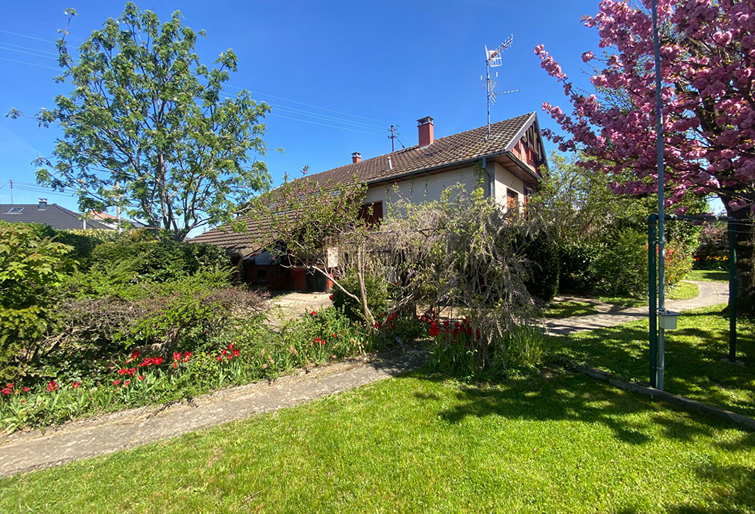 Maison individuelle de plain pied Cernay 5 pièce(s) 106.50 m² — photo 1