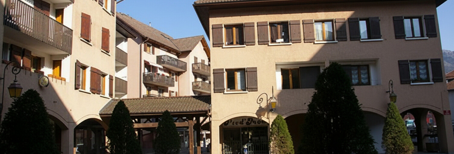 Commerce  74 m² à vendre à Faverges-Seythenex (74210)
