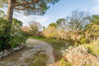 Terrain  126500 €
