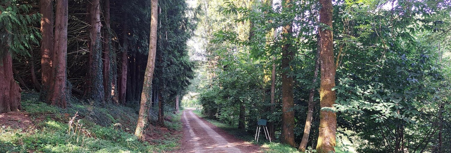 Maison 6 Pièces 130 m² à vendre à Bais (53160)