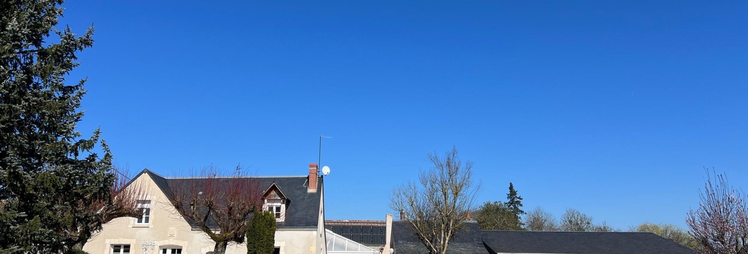 Maison 7 Pièces 290 m² à vendre à La Croix-en-Touraine (37150)