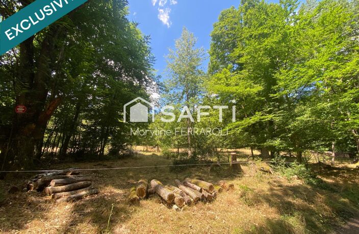 Terrain de loisirs, avec verger et forêt — photo 2