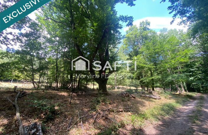Terrain de loisirs, avec verger et forêt — photo 3