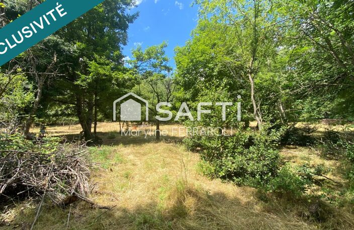 Terrain de loisirs, avec verger et forêt — photo 4