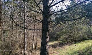 Terrain  13903 m² à vendre à Marey-sur-Tille (21120)