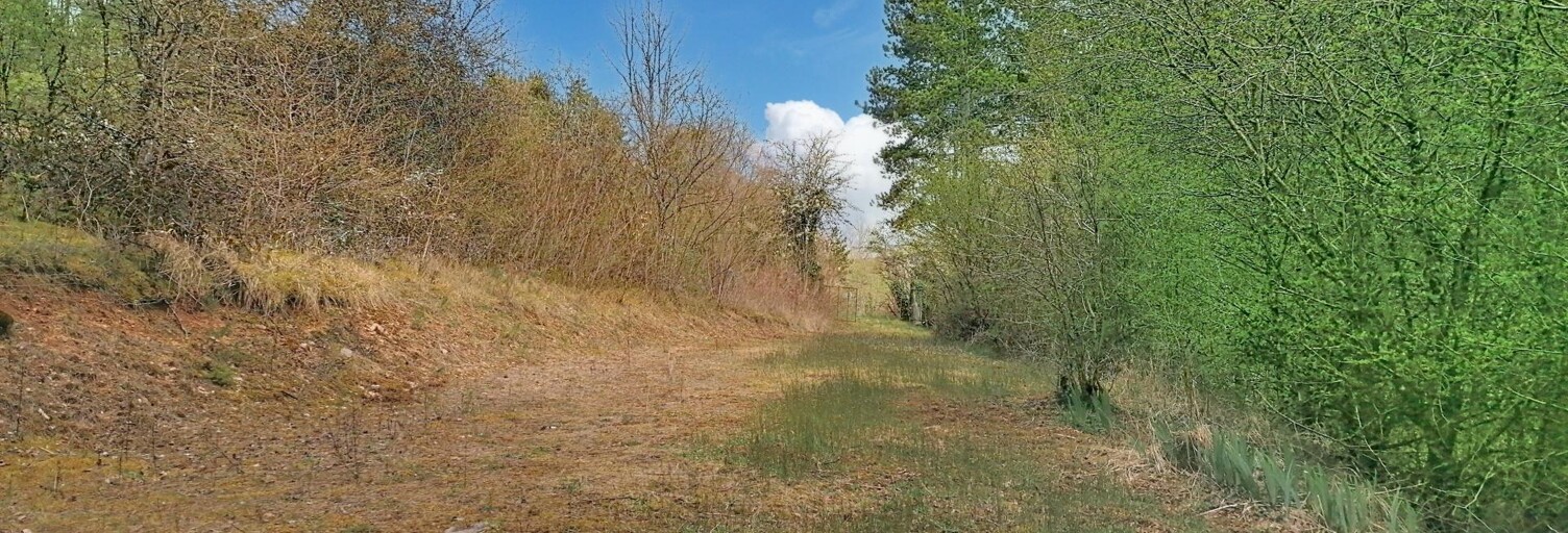 Terrain  13903 m² à vendre à Marey-sur-Tille (21120)