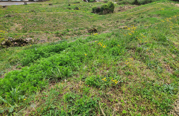 terrain de 1500 m2 -  avec permis - vue - centre-ville - arb — photo 5