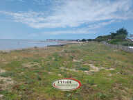 NOIRMOUTIER Guérinière : Maison de 2023, 74 m2, terrasse et — photo 3