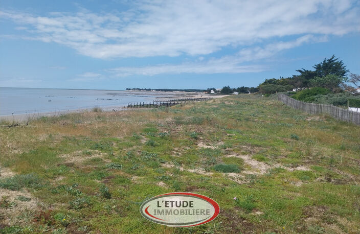 NOIRMOUTIER Guérinière : Maison de 2023, 74 m2, terrasse et — photo 3