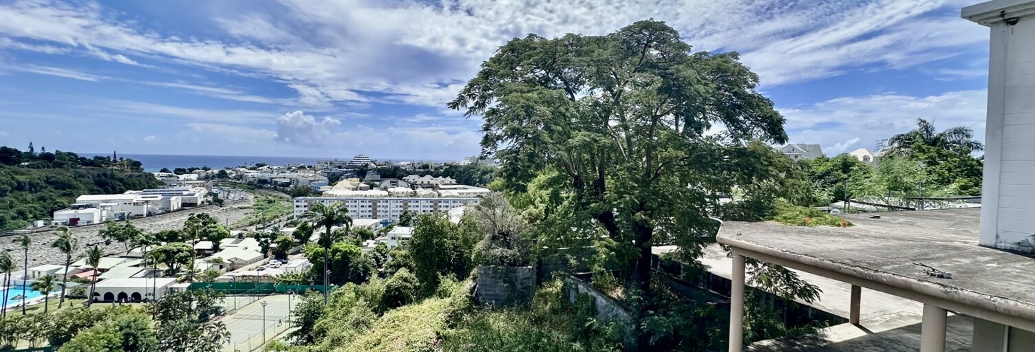 Maison 14 Pièces 450 m² à vendre à Saint-Denis (97400)