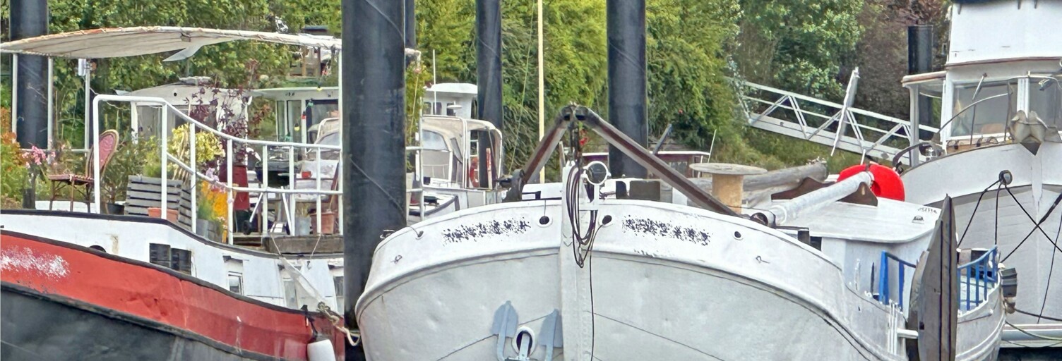 Maison 2 Pièces 55 m² à vendre à Asnières-sur-Seine (92600)